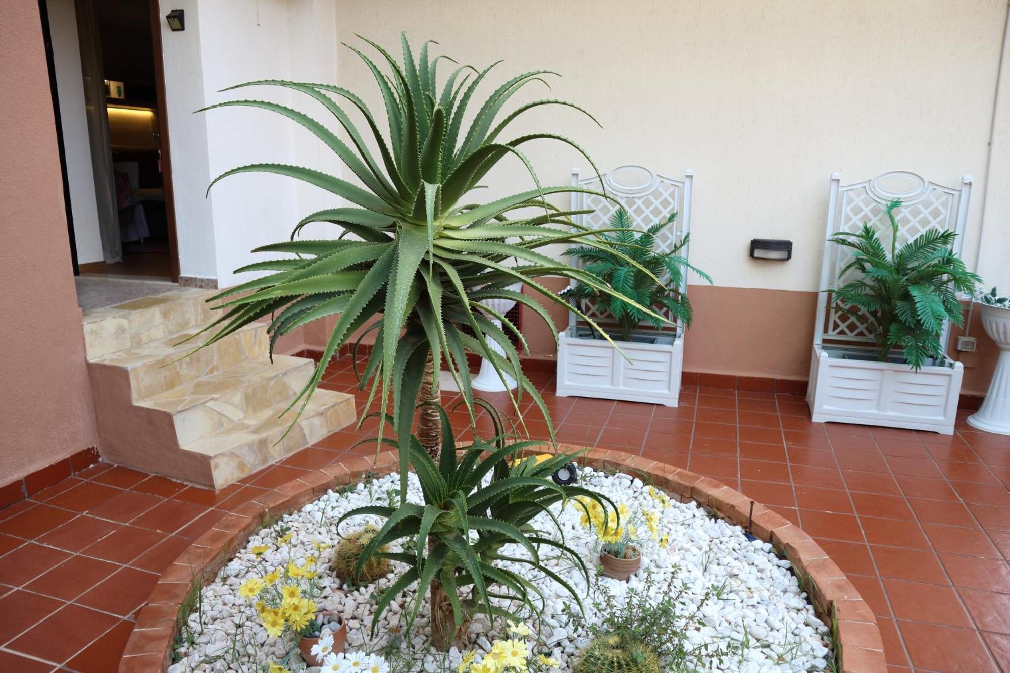 Mondello House Lemon Apartment Palermo Bagian luar foto