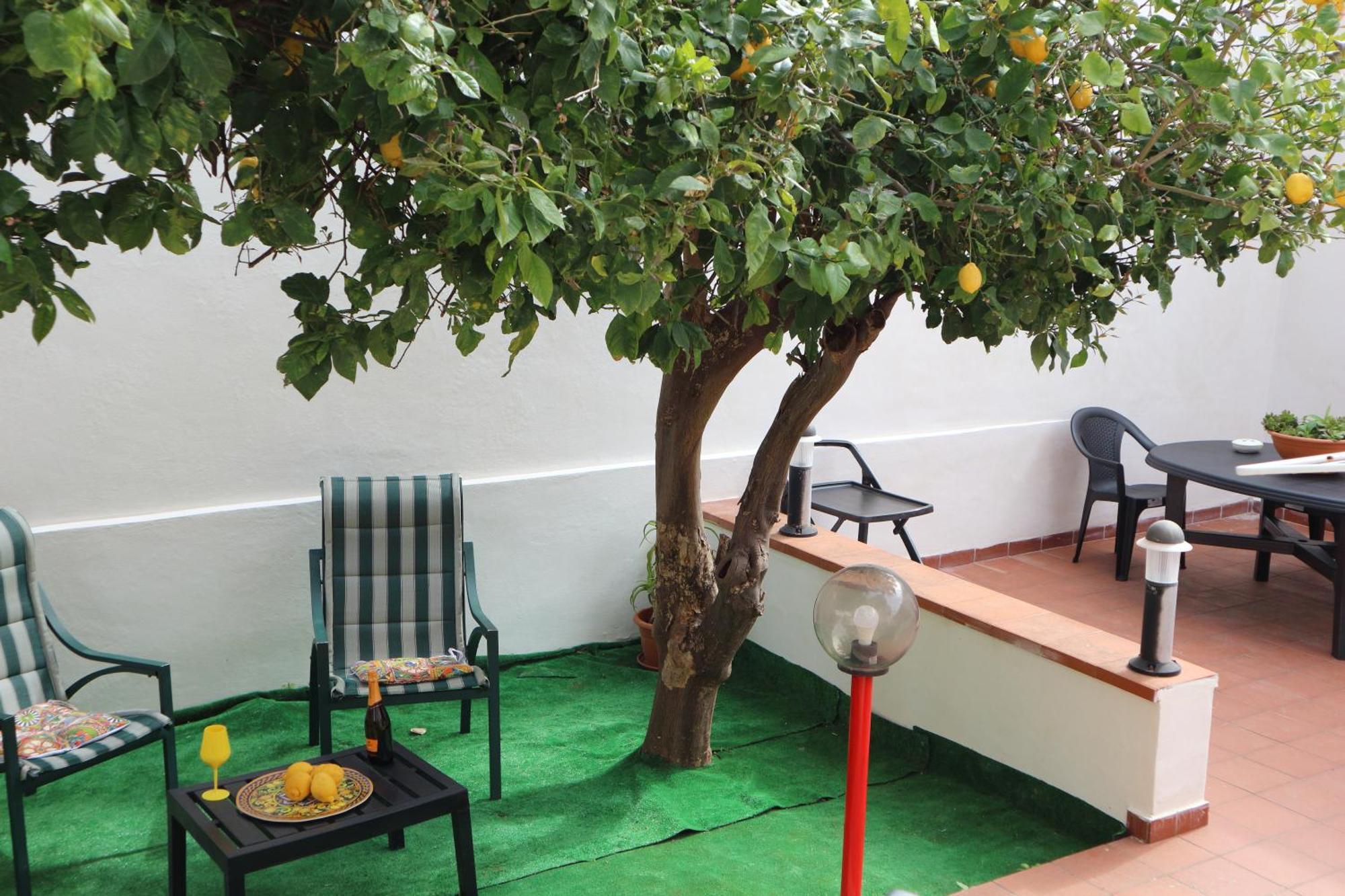 Mondello House Lemon Apartment Palermo Bagian luar foto